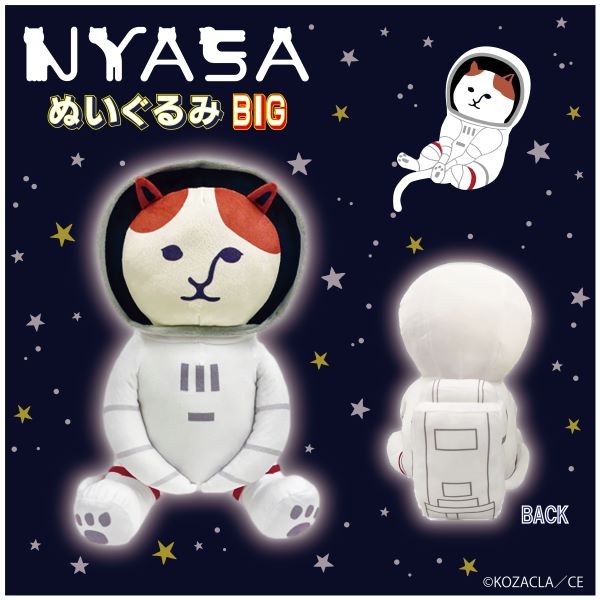 Nyasa Big