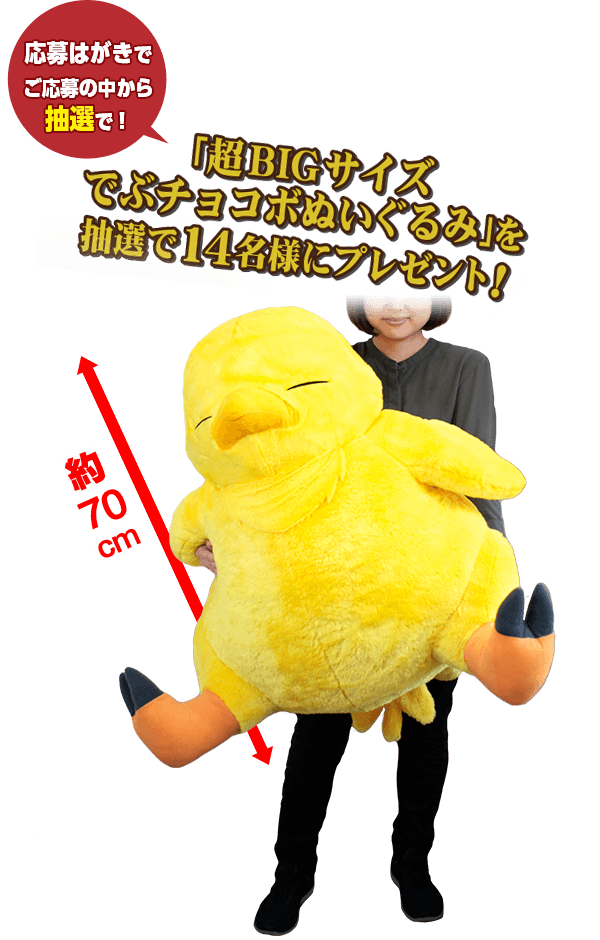 応募はがきでご応募の中から抽選で14名様に超BIGサイズでぶチョコボぬいぐるみをプレゼント!