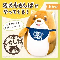 忠犬もちしばのおかかがタイトーのお店にやってくるよ！