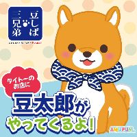 豆しば三兄弟の豆太郎がタイトーのお店にやってくるよ！